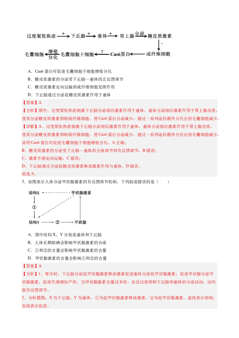 考点通关卷26体液调节（解析版）_2025年新高考资料_一轮复习_2025年高考生物一轮复习考点通关卷（新高考通用）