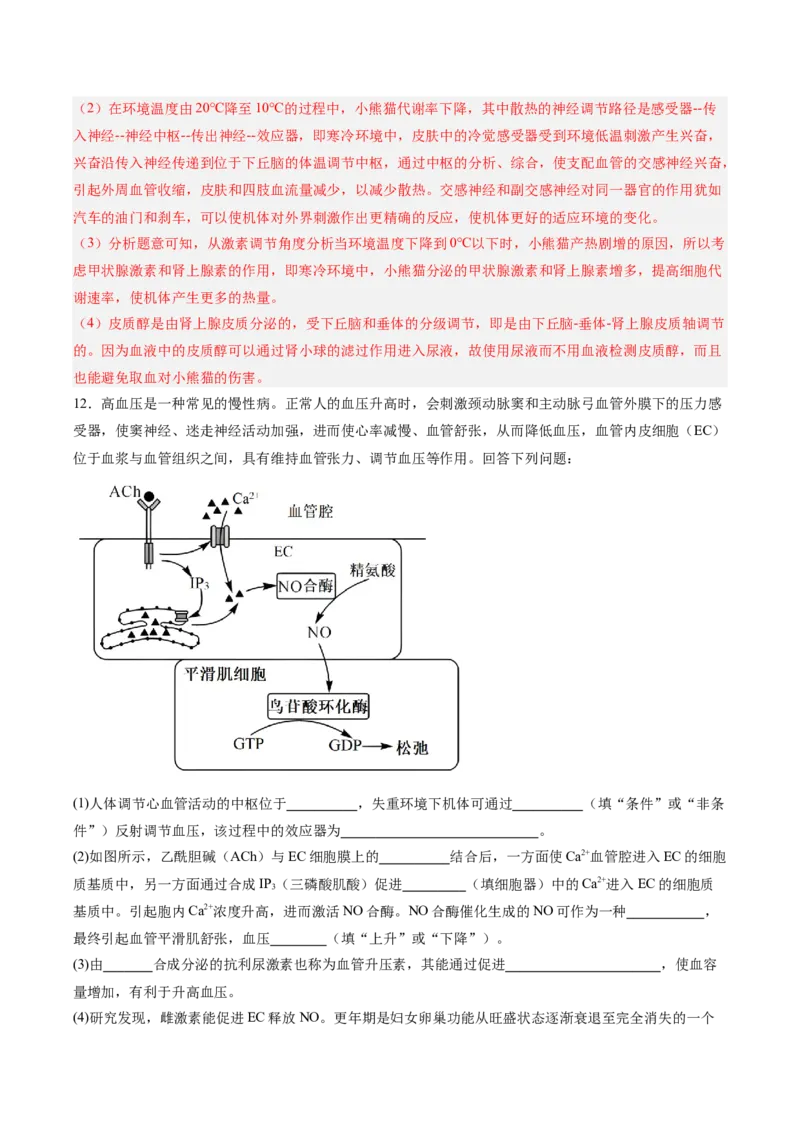 考点通关卷26体液调节（解析版）_2025年新高考资料_一轮复习_2025年高考生物一轮复习考点通关卷（新高考通用）