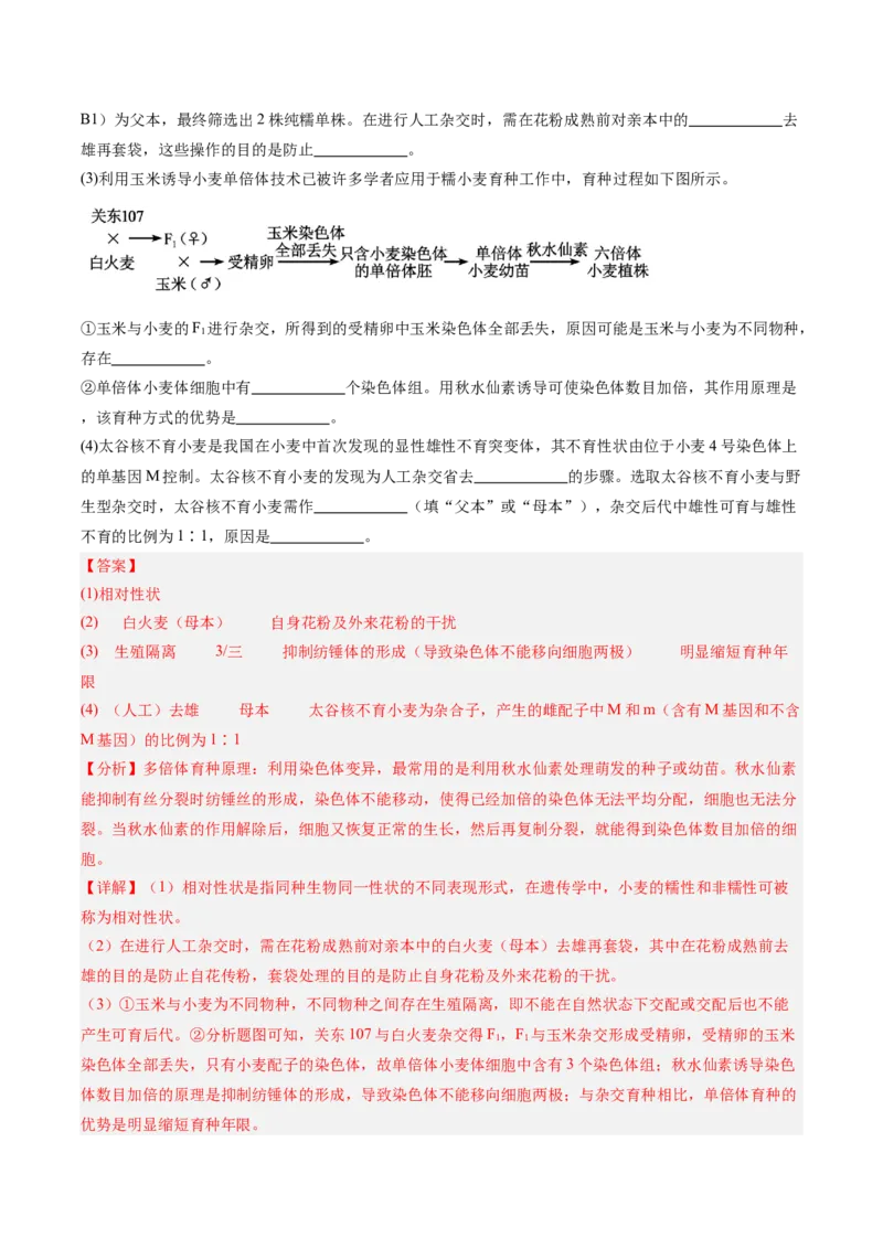 考点通关卷23生物的进化（解析版）_2025年新高考资料_一轮复习_2025年高考生物一轮复习考点通关卷（新高考通用）