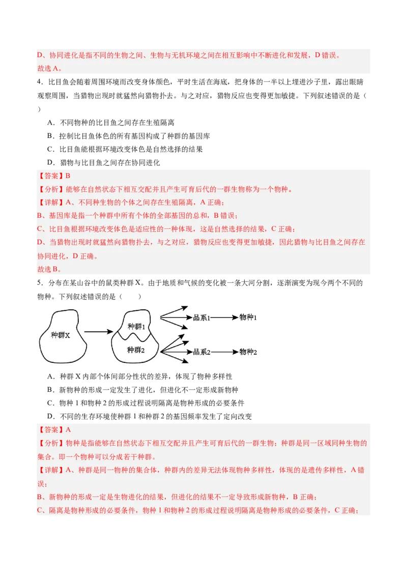 考点通关卷23生物的进化（解析版）_2025年新高考资料_一轮复习_2025年高考生物一轮复习考点通关卷（新高考通用）