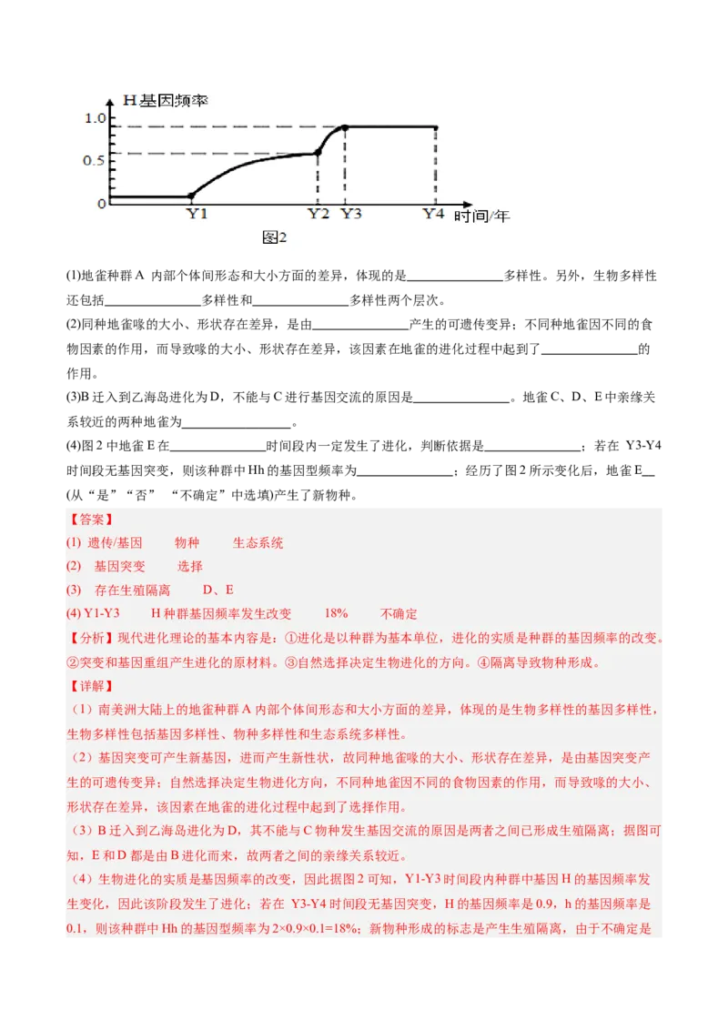 考点通关卷23生物的进化（解析版）_2025年新高考资料_一轮复习_2025年高考生物一轮复习考点通关卷（新高考通用）