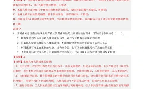 考点通关卷23生物的进化（解析版）_2025年新高考资料_一轮复习_2025年高考生物一轮复习考点通关卷（新高考通用）