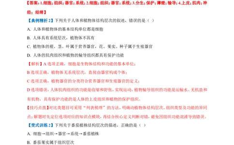 名师导航专题03细胞怎样构成生物体--2026年中考生物一轮复习学案（解析版）_6生物中考复习_2026年中考复习（更新中）_2026年中考生物一轮复习学案（原版卷+解析版）