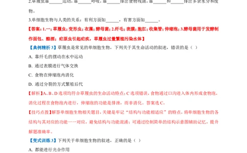 名师导航专题03细胞怎样构成生物体--2026年中考生物一轮复习学案（解析版）_6生物中考复习_2026年中考复习（更新中）_2026年中考生物一轮复习学案（原版卷+解析版）
