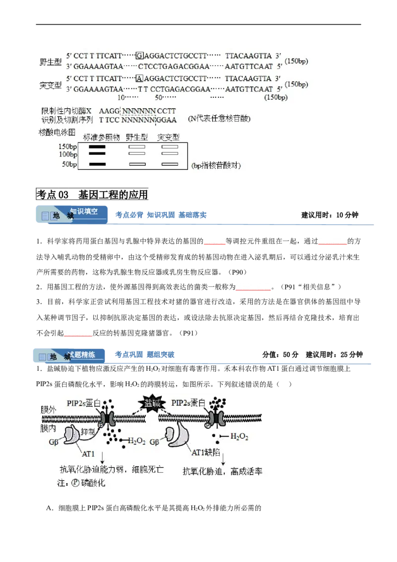 考点通关卷36基因工程（原卷版）_新高考复习资料_2024年新高考复习资料_一轮复习资料_完2024年高考生物一轮复习考点通关卷（新高考）_考点通关卷36基因工程