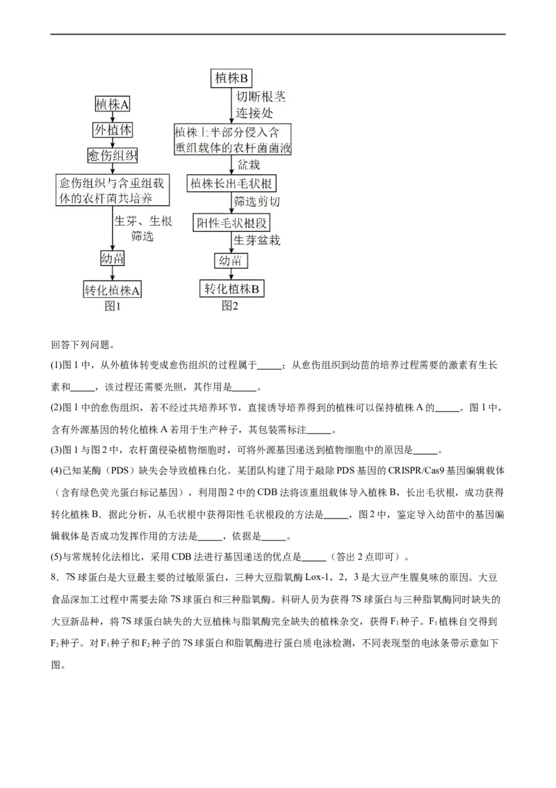 考点通关卷36基因工程（原卷版）_新高考复习资料_2024年新高考复习资料_一轮复习资料_完2024年高考生物一轮复习考点通关卷（新高考）_考点通关卷36基因工程