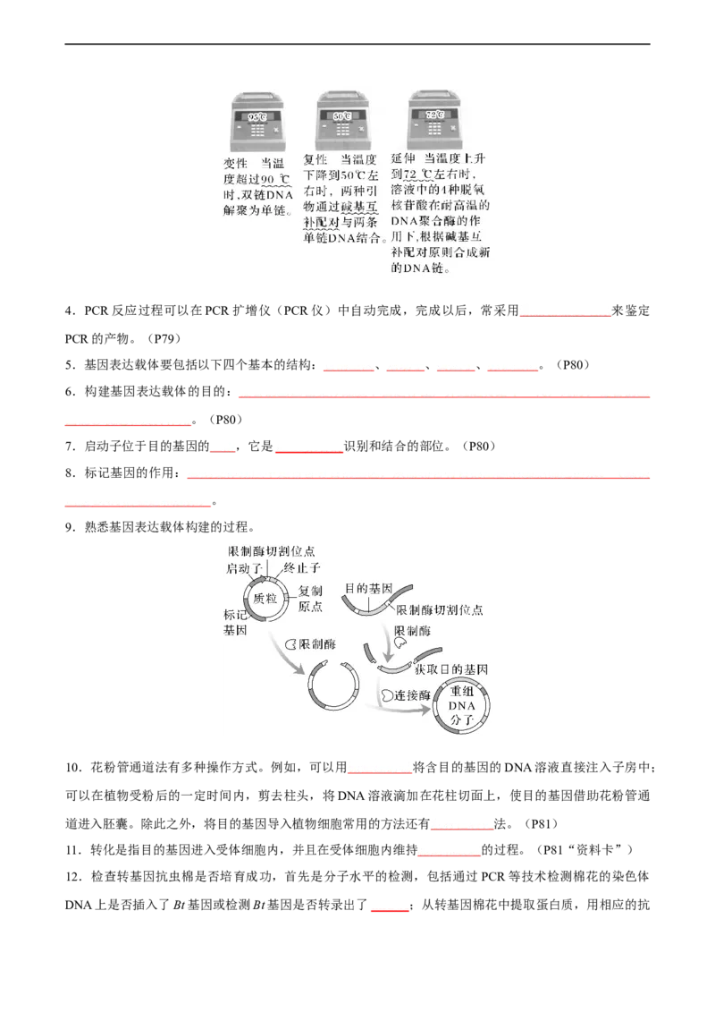 考点通关卷36基因工程（原卷版）_新高考复习资料_2024年新高考复习资料_一轮复习资料_完2024年高考生物一轮复习考点通关卷（新高考）_考点通关卷36基因工程