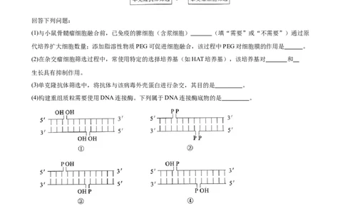 考点通关卷36基因工程（原卷版）_新高考复习资料_2024年新高考复习资料_一轮复习资料_完2024年高考生物一轮复习考点通关卷（新高考）_考点通关卷36基因工程