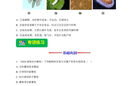 名师导航专题20生物的生殖和发育--2026年中考生物一轮复习学案（原卷版）_6生物中考复习_2026年中考复习（更新中）_2026年中考生物一轮复习学案（原版卷+解析版）