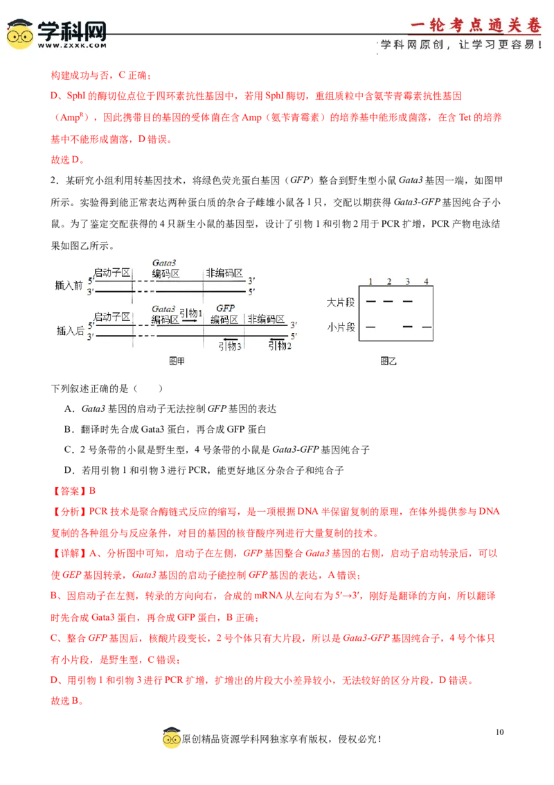 考点通关卷36基因工程（解析版）_新高考复习资料_2024年新高考复习资料_一轮复习资料_完2024年高考生物一轮复习考点通关卷（新高考）_考点通关卷36基因工程