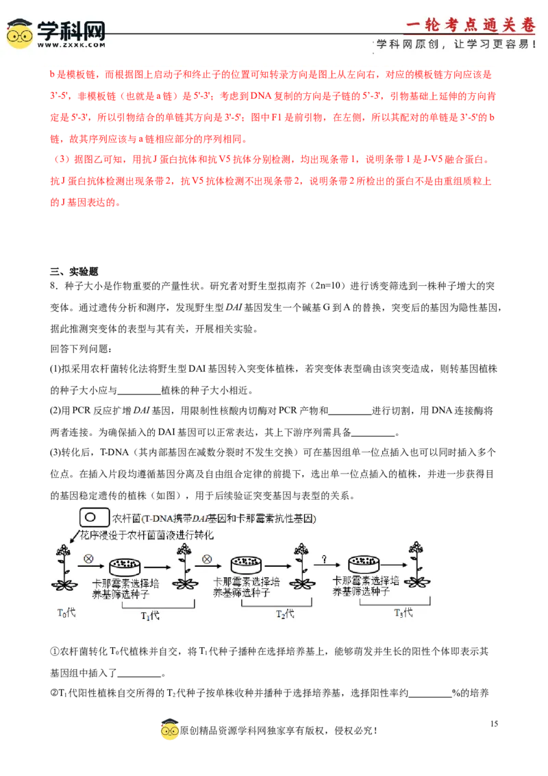 考点通关卷36基因工程（解析版）_新高考复习资料_2024年新高考复习资料_一轮复习资料_完2024年高考生物一轮复习考点通关卷（新高考）_考点通关卷36基因工程