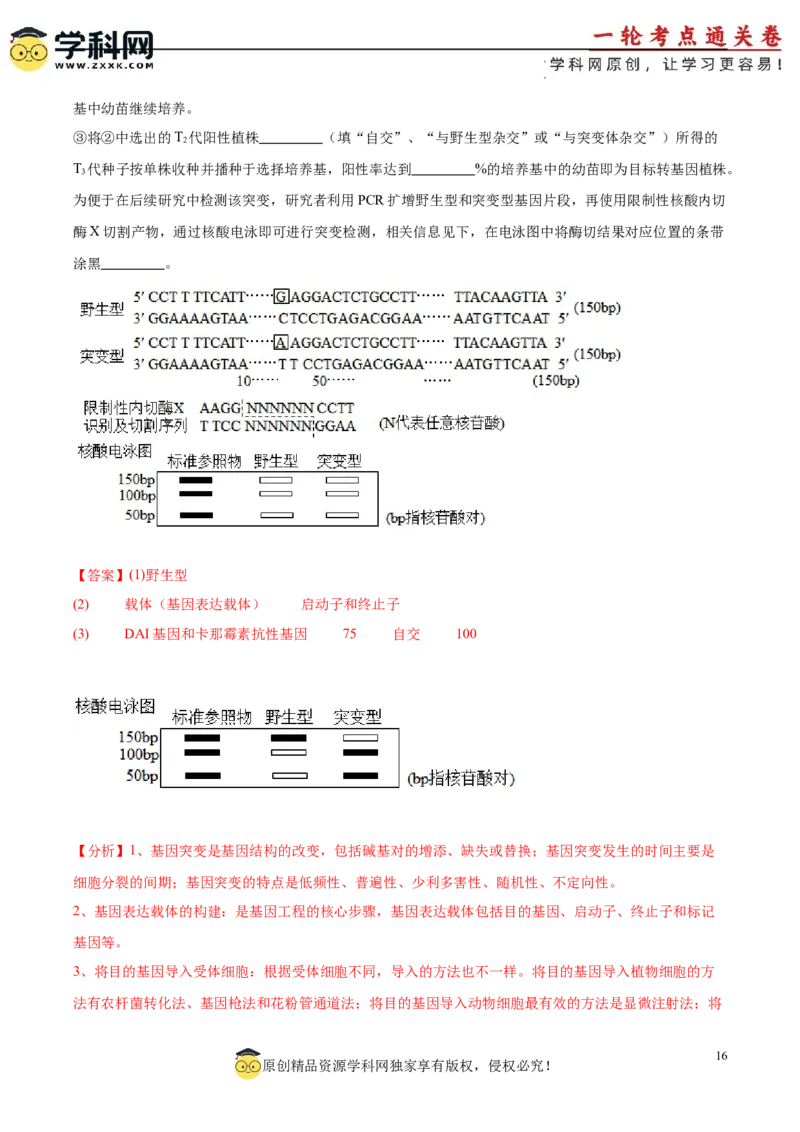 考点通关卷36基因工程（解析版）_新高考复习资料_2024年新高考复习资料_一轮复习资料_完2024年高考生物一轮复习考点通关卷（新高考）_考点通关卷36基因工程