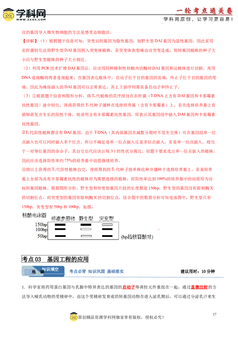 考点通关卷36基因工程（解析版）_新高考复习资料_2024年新高考复习资料_一轮复习资料_完2024年高考生物一轮复习考点通关卷（新高考）_考点通关卷36基因工程