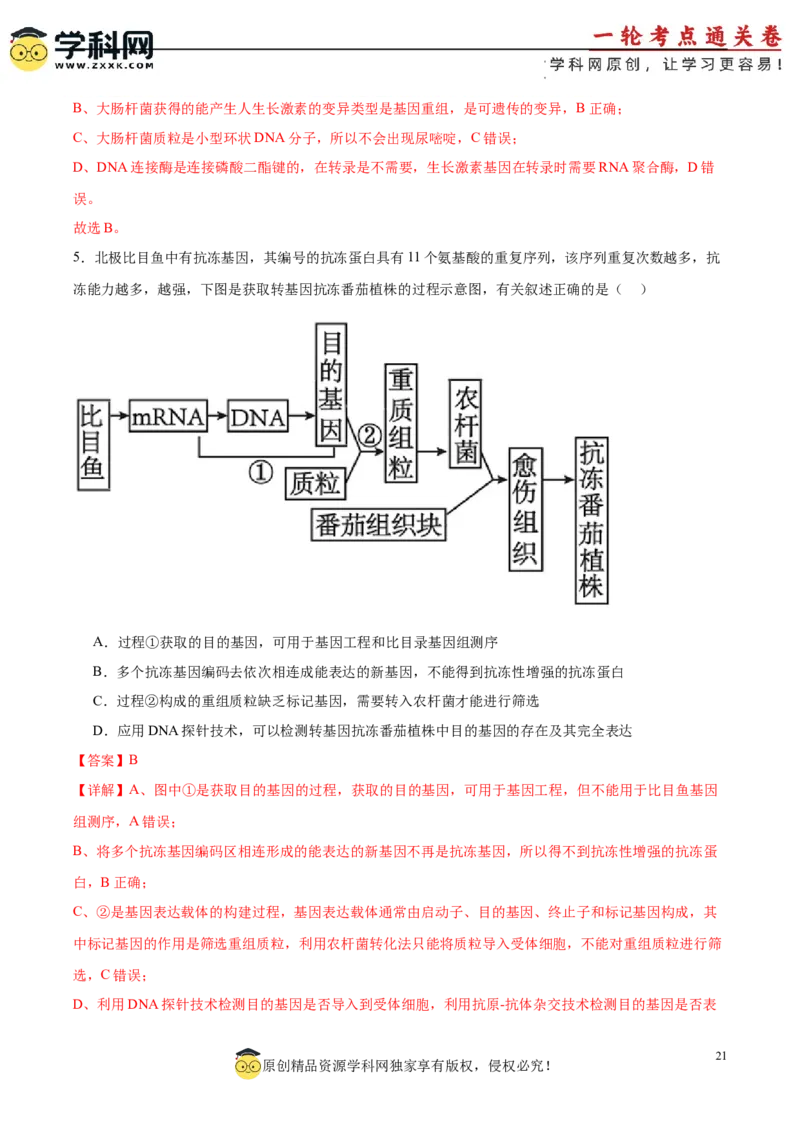 考点通关卷36基因工程（解析版）_新高考复习资料_2024年新高考复习资料_一轮复习资料_完2024年高考生物一轮复习考点通关卷（新高考）_考点通关卷36基因工程