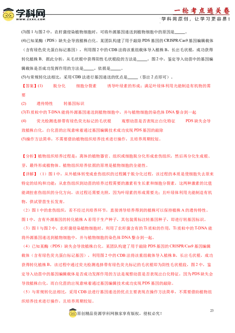 考点通关卷36基因工程（解析版）_新高考复习资料_2024年新高考复习资料_一轮复习资料_完2024年高考生物一轮复习考点通关卷（新高考）_考点通关卷36基因工程