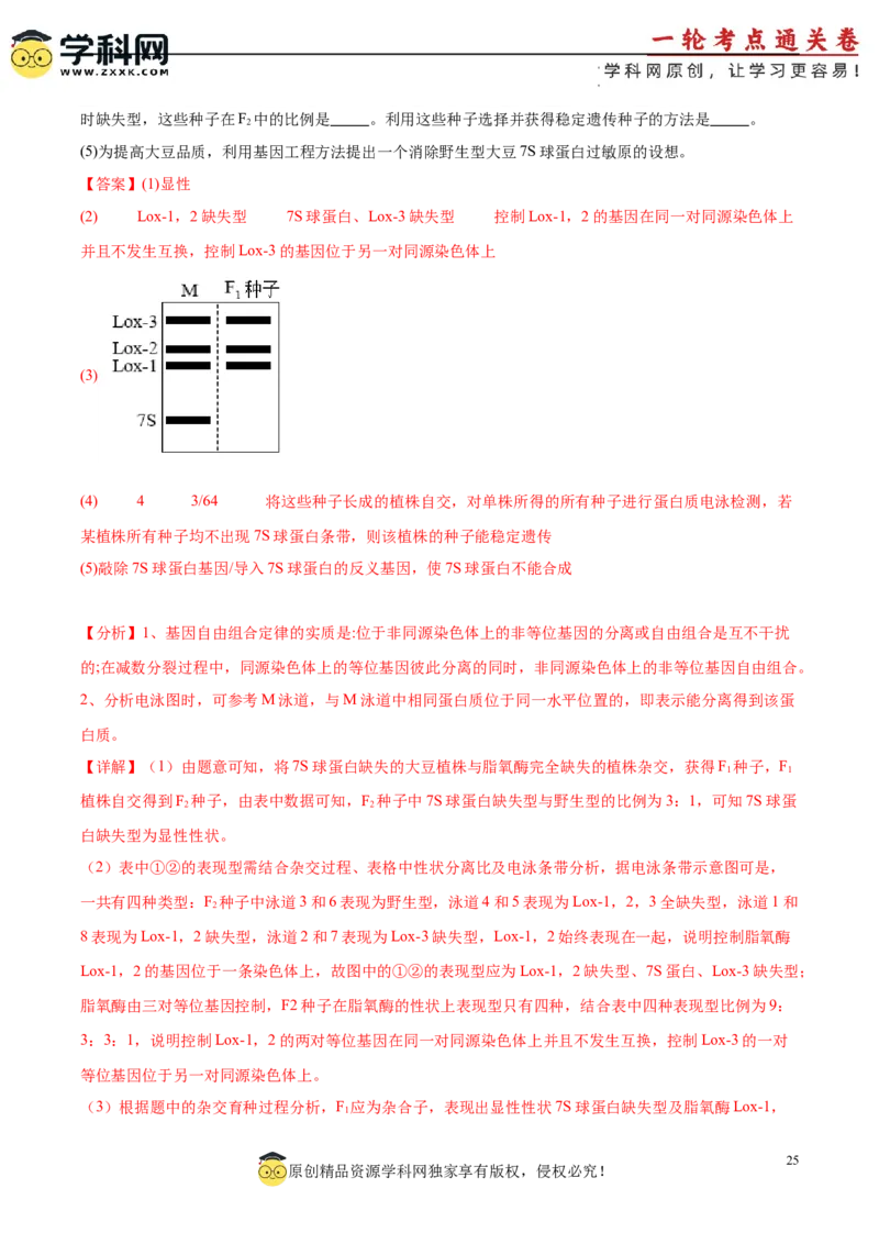 考点通关卷36基因工程（解析版）_新高考复习资料_2024年新高考复习资料_一轮复习资料_完2024年高考生物一轮复习考点通关卷（新高考）_考点通关卷36基因工程