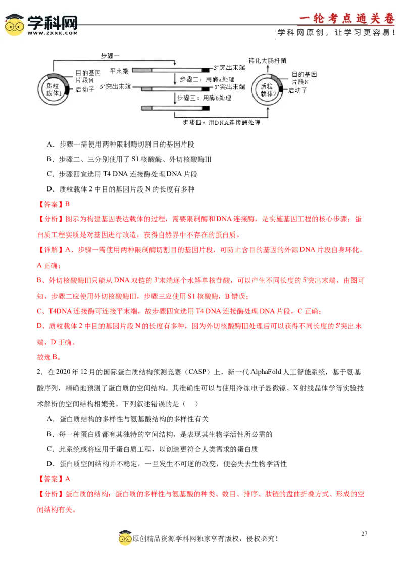 考点通关卷36基因工程（解析版）_新高考复习资料_2024年新高考复习资料_一轮复习资料_完2024年高考生物一轮复习考点通关卷（新高考）_考点通关卷36基因工程