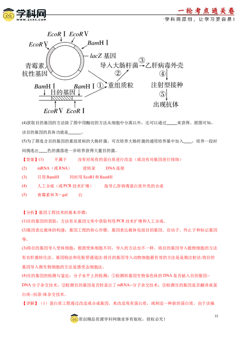 考点通关卷36基因工程（解析版）_新高考复习资料_2024年新高考复习资料_一轮复习资料_完2024年高考生物一轮复习考点通关卷（新高考）_考点通关卷36基因工程