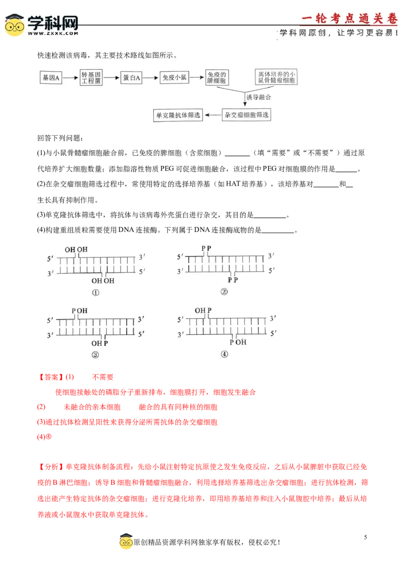 考点通关卷36基因工程（解析版）_新高考复习资料_2024年新高考复习资料_一轮复习资料_完2024年高考生物一轮复习考点通关卷（新高考）_考点通关卷36基因工程