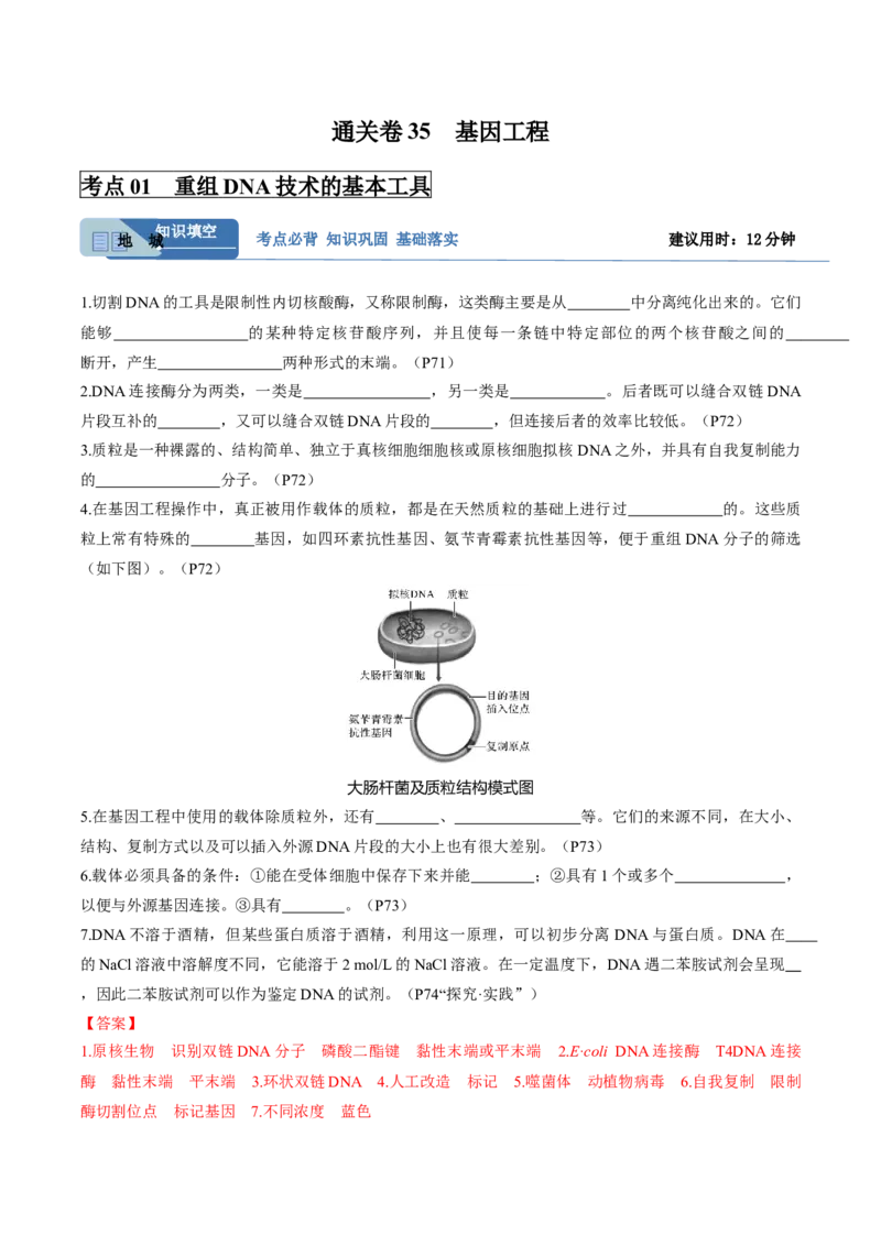 考点通关卷35基因工程（解析版）_2025年新高考资料_一轮复习_2025年高考生物一轮复习考点通关卷（新高考通用）