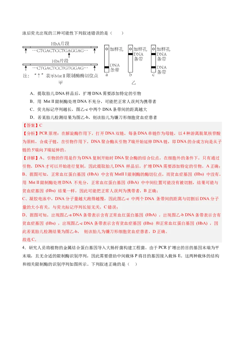 考点通关卷35基因工程（解析版）_2025年新高考资料_一轮复习_2025年高考生物一轮复习考点通关卷（新高考通用）