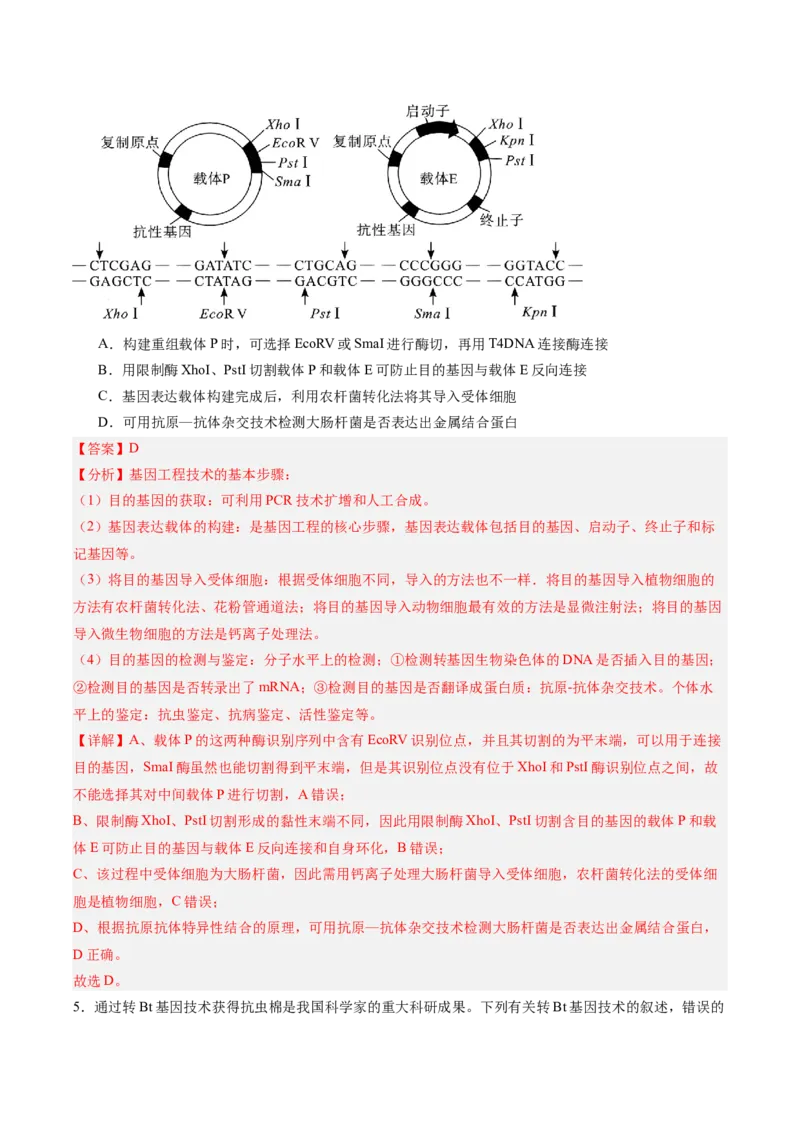 考点通关卷35基因工程（解析版）_2025年新高考资料_一轮复习_2025年高考生物一轮复习考点通关卷（新高考通用）