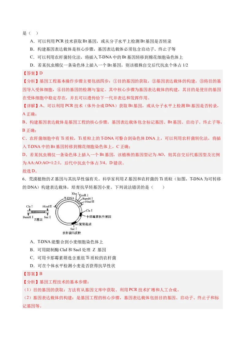 考点通关卷35基因工程（解析版）_2025年新高考资料_一轮复习_2025年高考生物一轮复习考点通关卷（新高考通用）