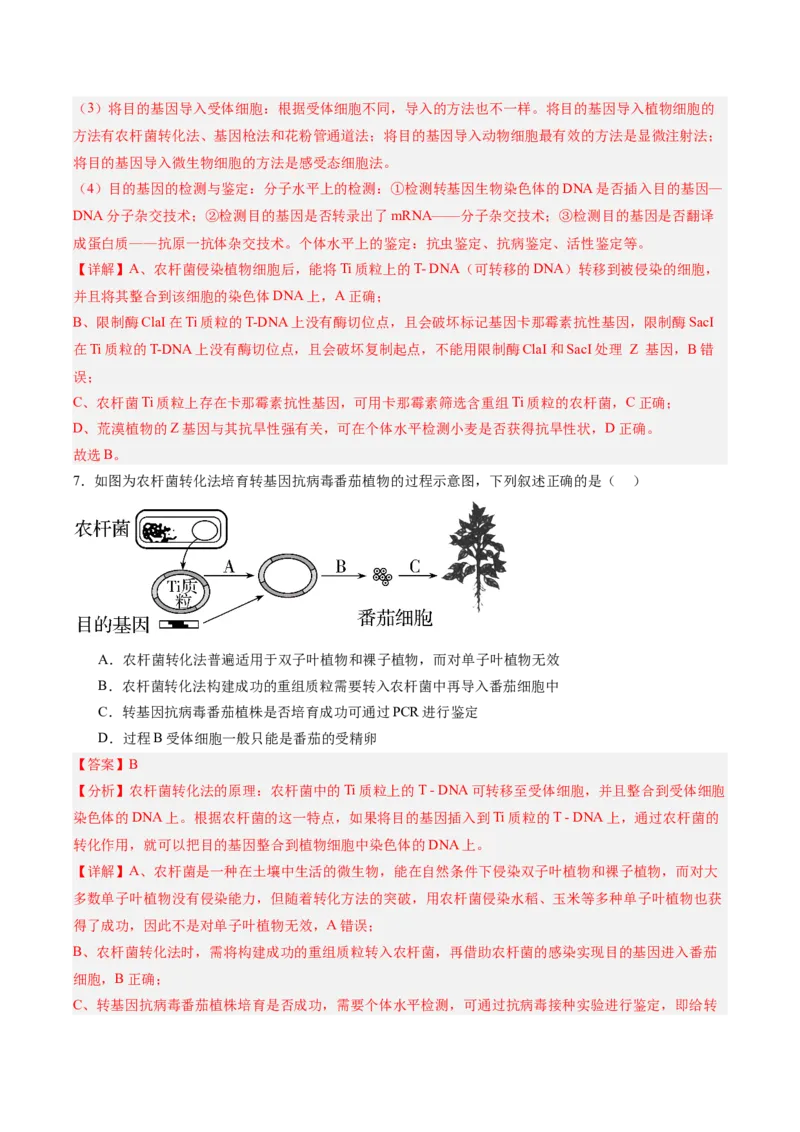 考点通关卷35基因工程（解析版）_2025年新高考资料_一轮复习_2025年高考生物一轮复习考点通关卷（新高考通用）