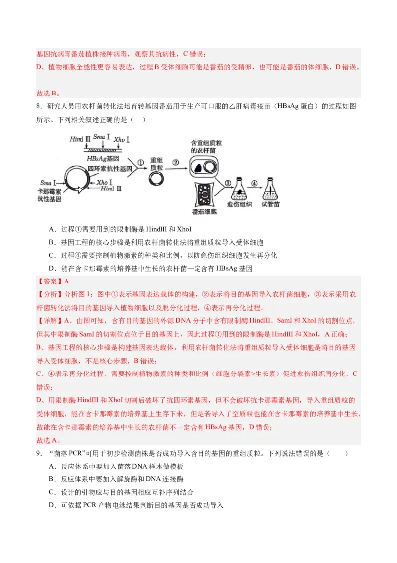 考点通关卷35基因工程（解析版）_2025年新高考资料_一轮复习_2025年高考生物一轮复习考点通关卷（新高考通用）