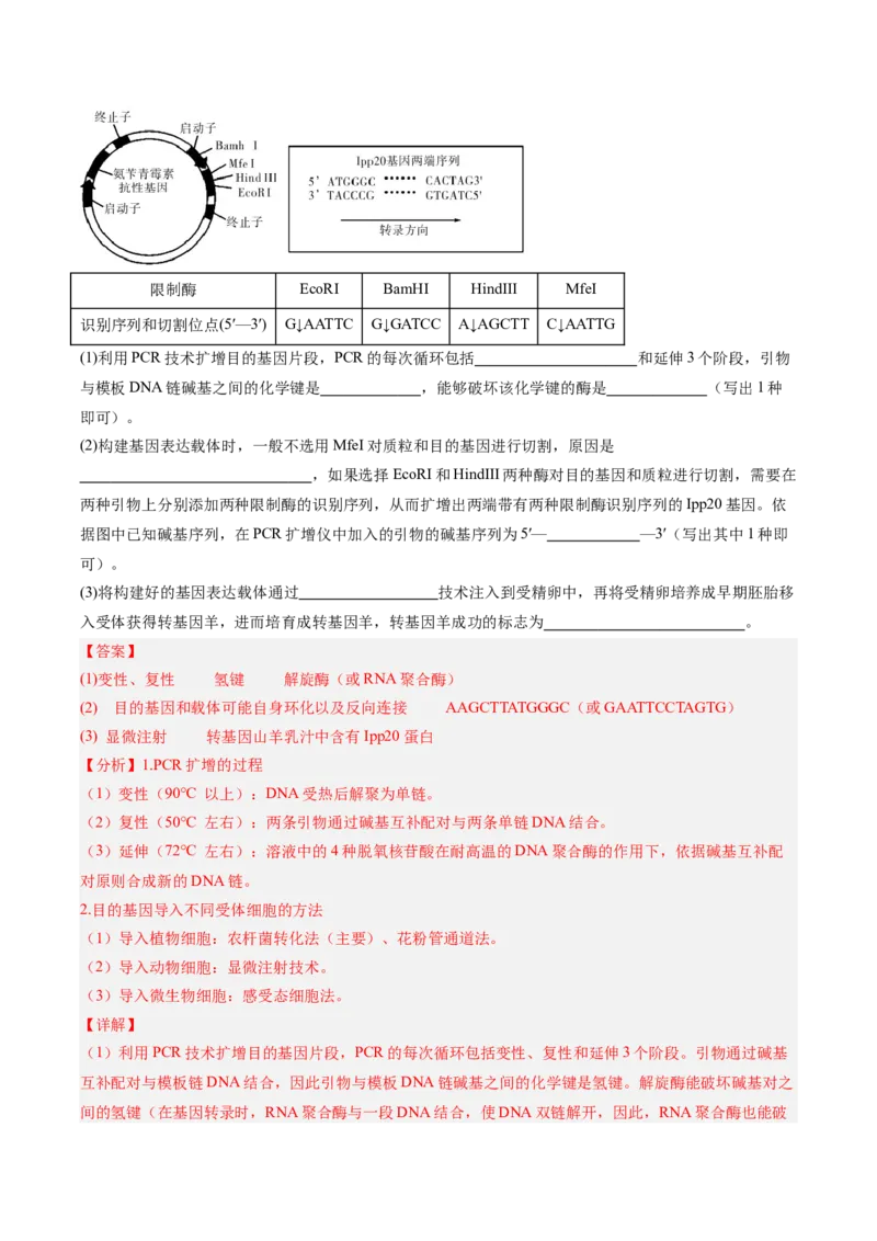 考点通关卷35基因工程（解析版）_2025年新高考资料_一轮复习_2025年高考生物一轮复习考点通关卷（新高考通用）