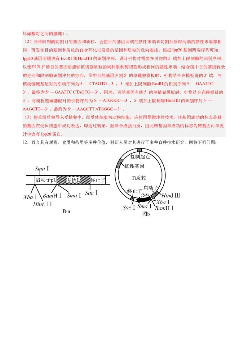 考点通关卷35基因工程（解析版）_2025年新高考资料_一轮复习_2025年高考生物一轮复习考点通关卷（新高考通用）