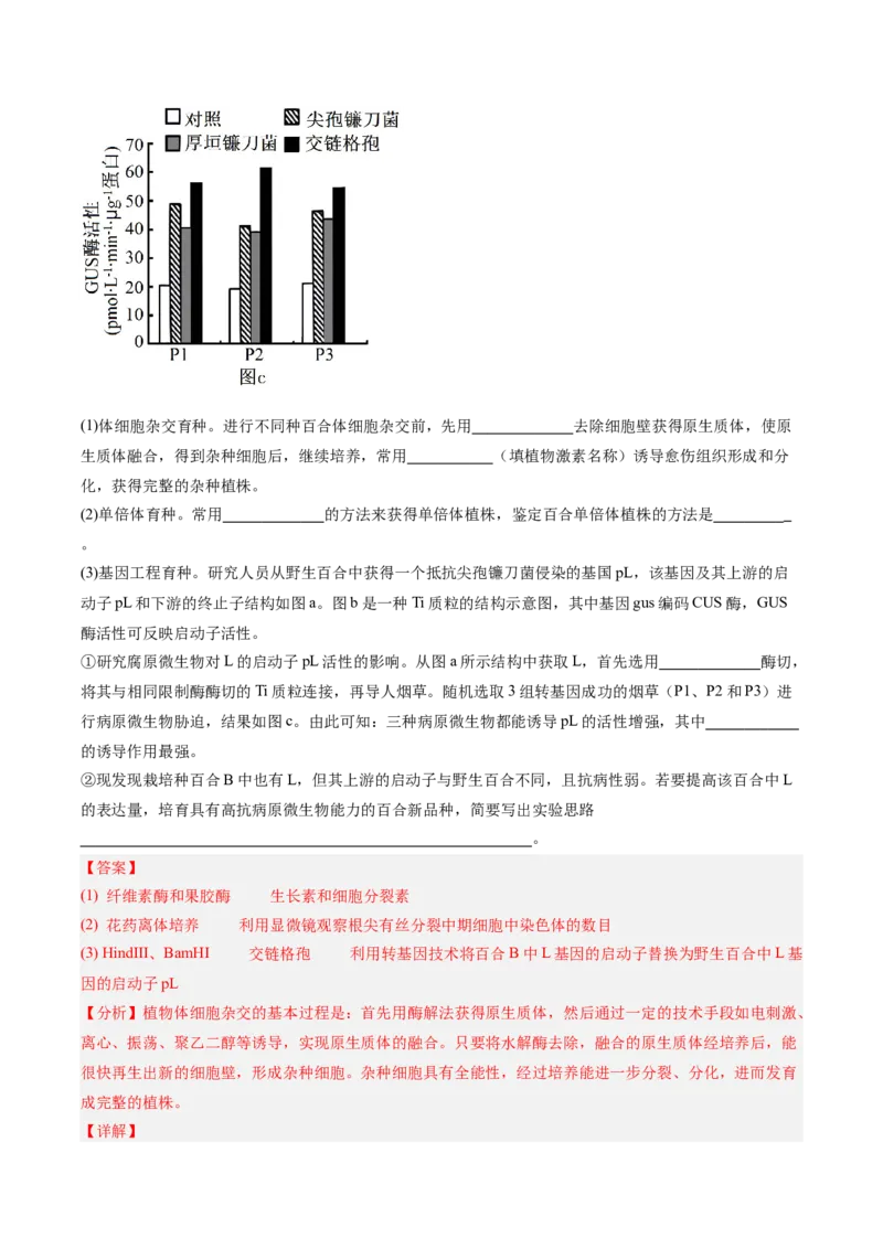 考点通关卷35基因工程（解析版）_2025年新高考资料_一轮复习_2025年高考生物一轮复习考点通关卷（新高考通用）