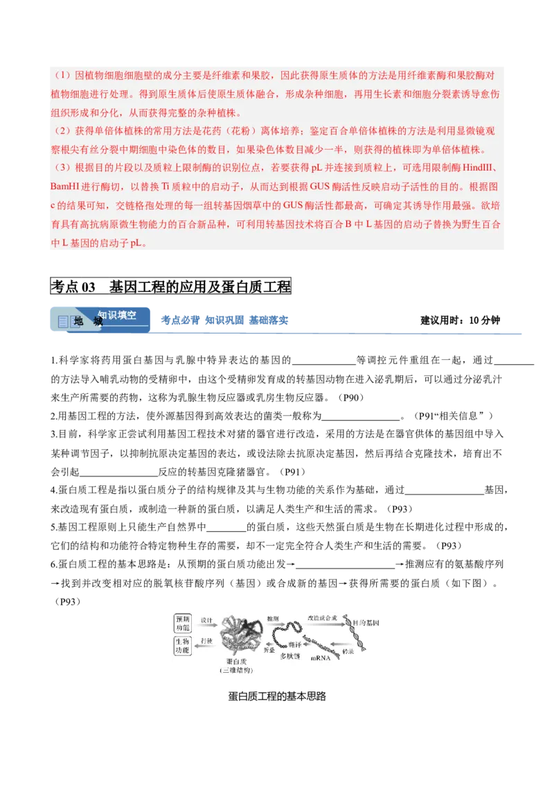 考点通关卷35基因工程（解析版）_2025年新高考资料_一轮复习_2025年高考生物一轮复习考点通关卷（新高考通用）