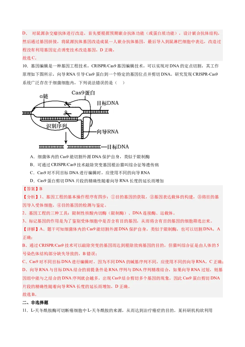 考点通关卷35基因工程（解析版）_2025年新高考资料_一轮复习_2025年高考生物一轮复习考点通关卷（新高考通用）
