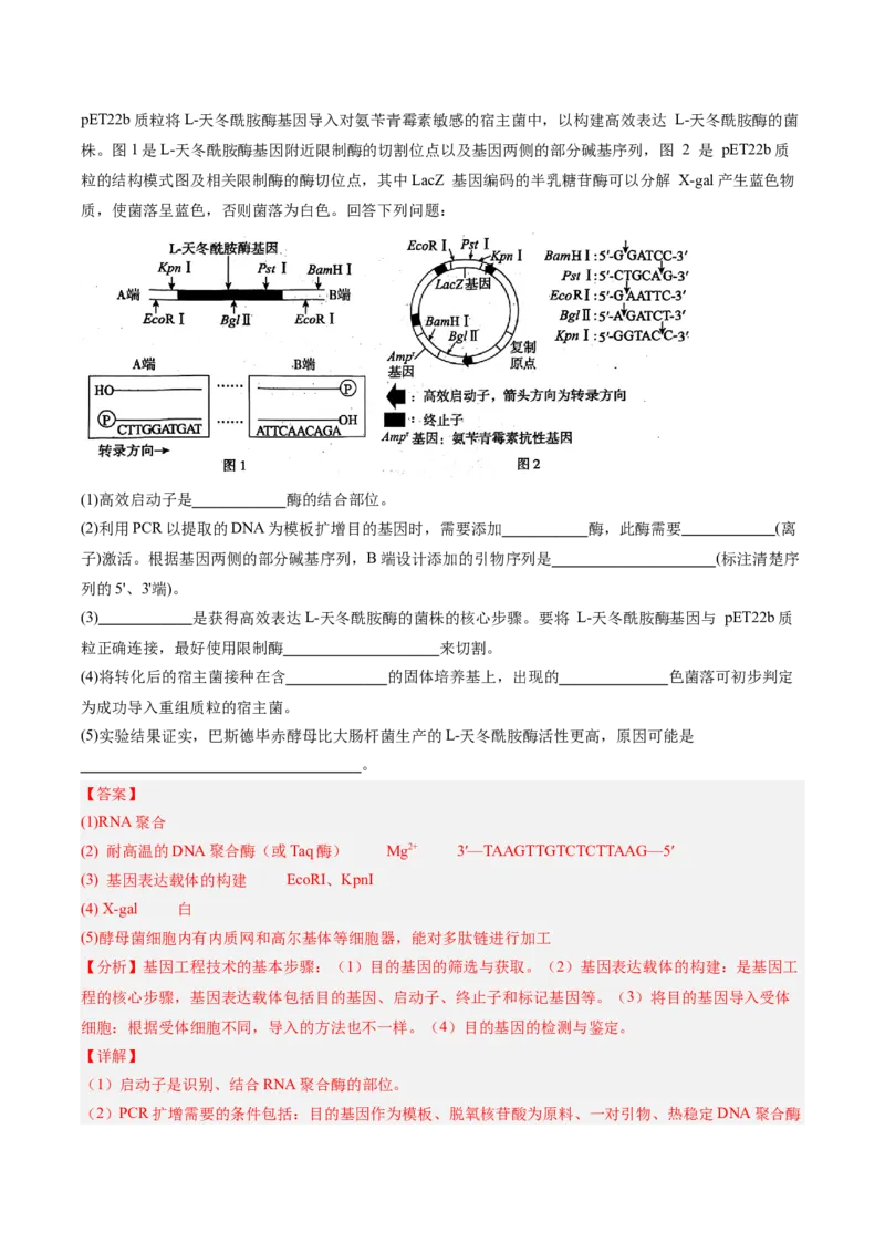 考点通关卷35基因工程（解析版）_2025年新高考资料_一轮复习_2025年高考生物一轮复习考点通关卷（新高考通用）