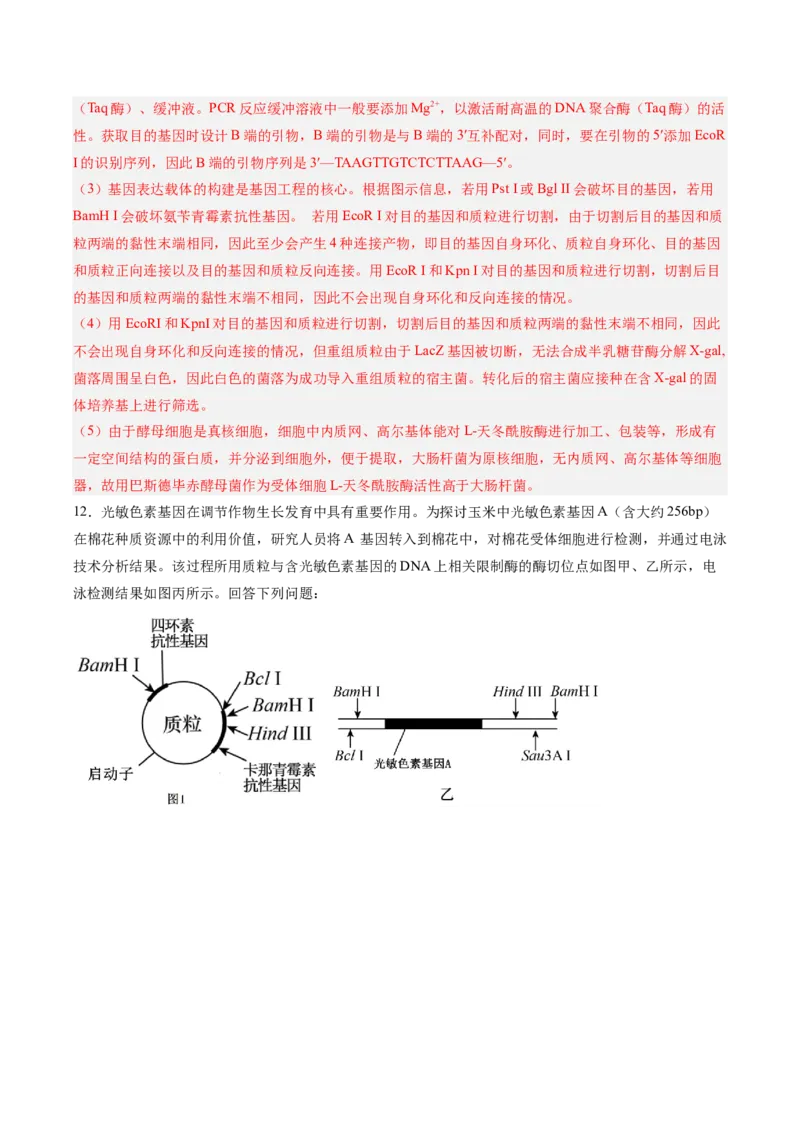考点通关卷35基因工程（解析版）_2025年新高考资料_一轮复习_2025年高考生物一轮复习考点通关卷（新高考通用）