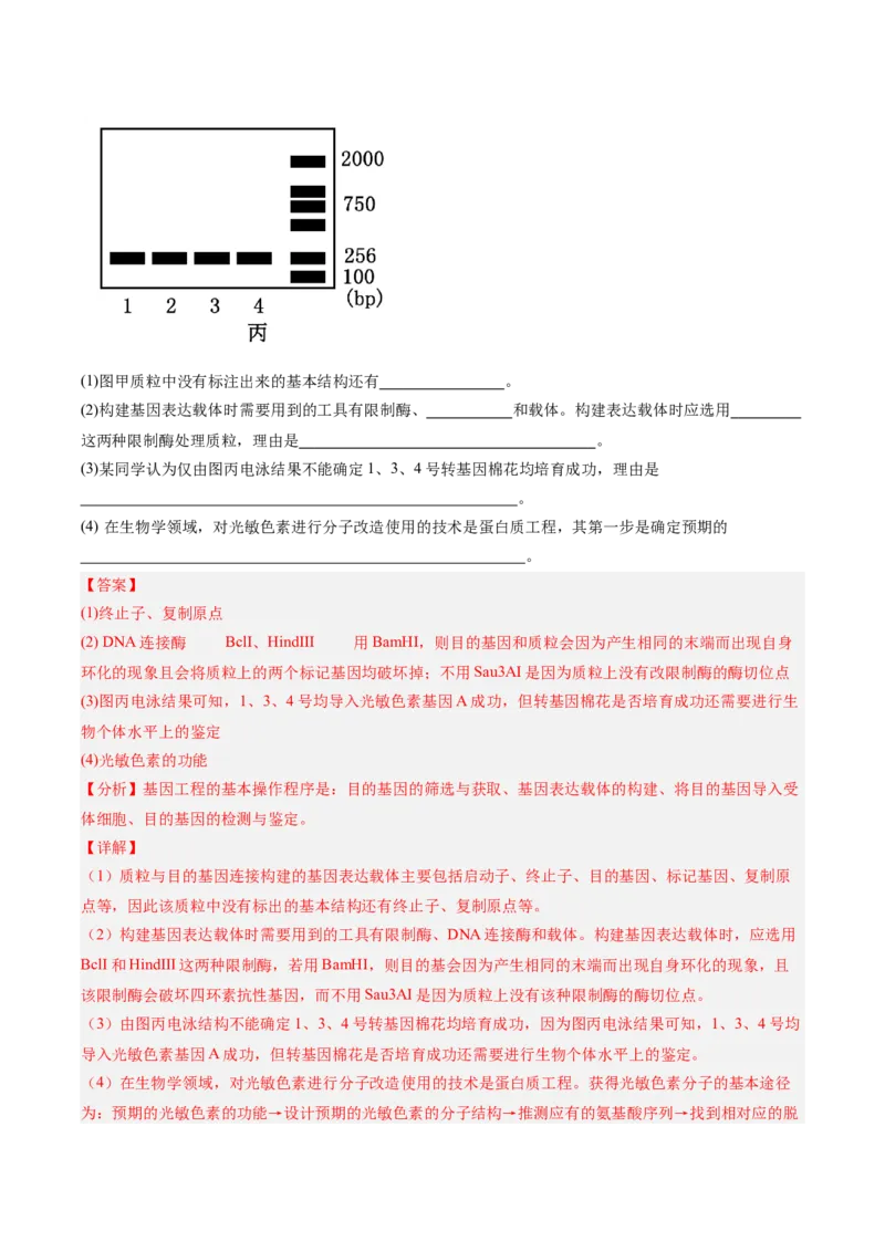 考点通关卷35基因工程（解析版）_2025年新高考资料_一轮复习_2025年高考生物一轮复习考点通关卷（新高考通用）