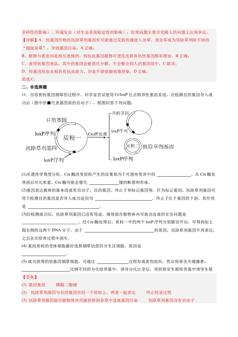 考点通关卷35基因工程（解析版）_2025年新高考资料_一轮复习_2025年高考生物一轮复习考点通关卷（新高考通用）