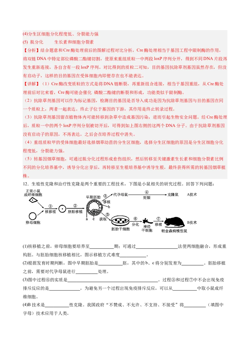 考点通关卷35基因工程（解析版）_2025年新高考资料_一轮复习_2025年高考生物一轮复习考点通关卷（新高考通用）