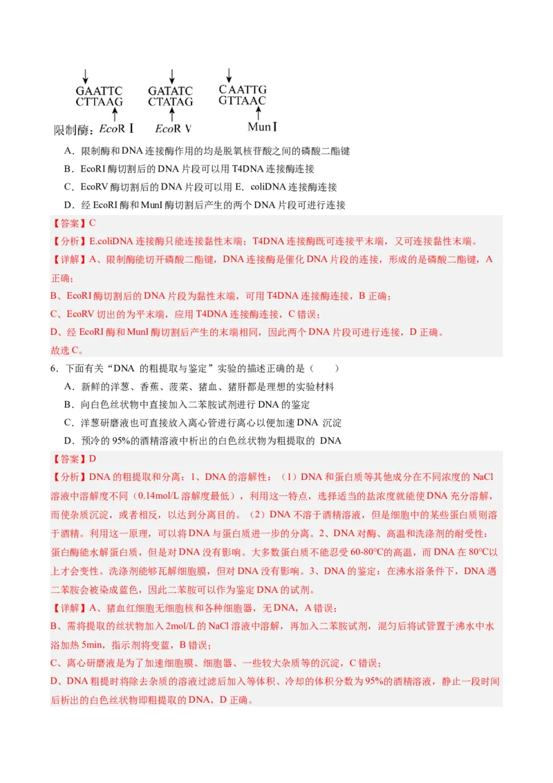 考点通关卷35基因工程（解析版）_2025年新高考资料_一轮复习_2025年高考生物一轮复习考点通关卷（新高考通用）