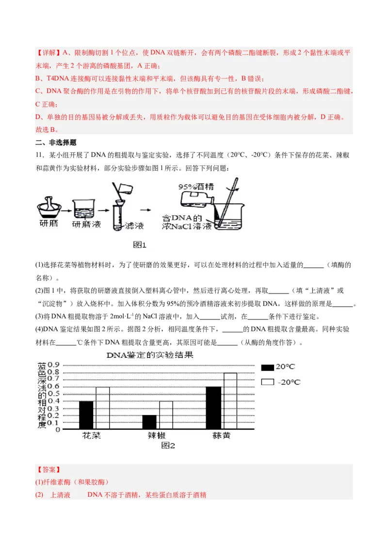 考点通关卷35基因工程（解析版）_2025年新高考资料_一轮复习_2025年高考生物一轮复习考点通关卷（新高考通用）
