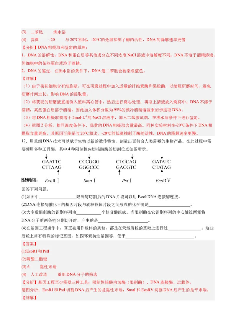 考点通关卷35基因工程（解析版）_2025年新高考资料_一轮复习_2025年高考生物一轮复习考点通关卷（新高考通用）