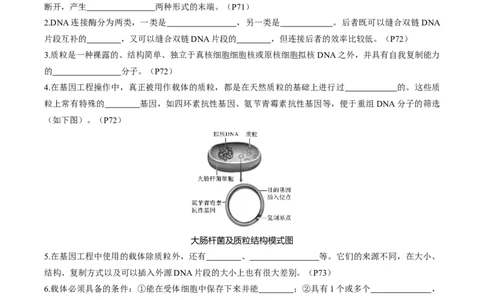 考点通关卷35基因工程（解析版）_2025年新高考资料_一轮复习_2025年高考生物一轮复习考点通关卷（新高考通用）