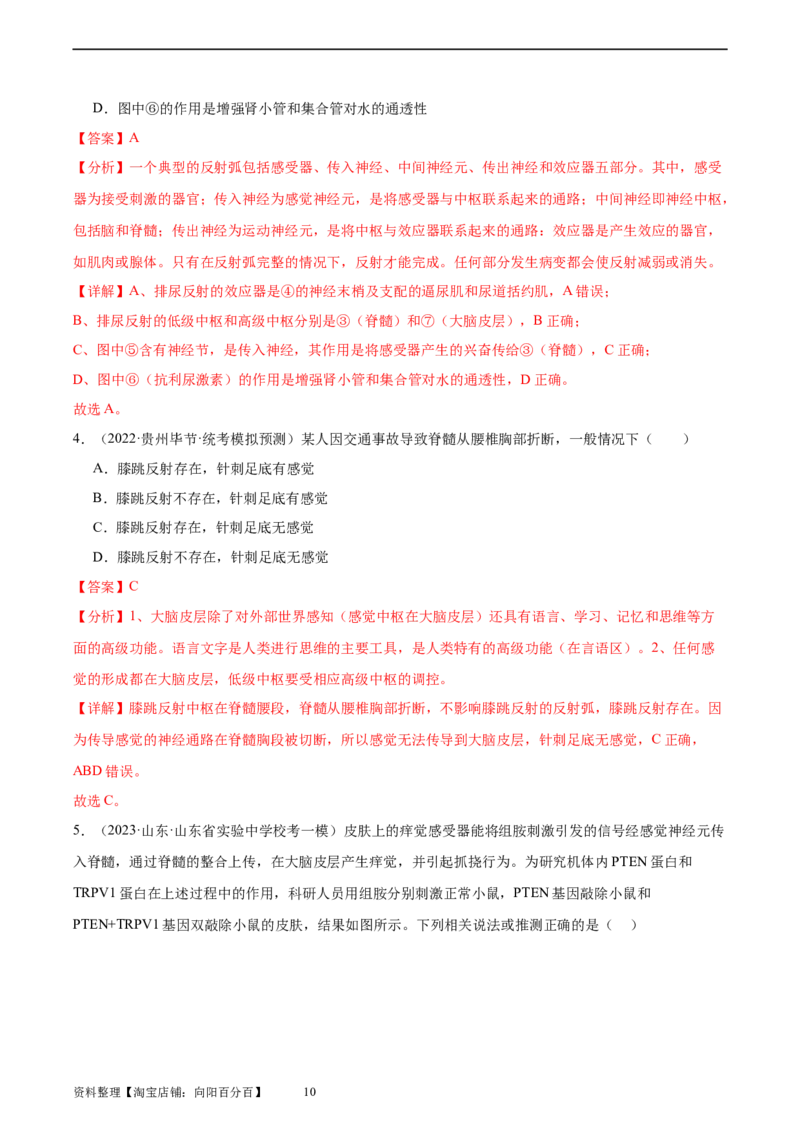考点通关卷26神经调节（解析版）_新高考复习资料_2024年新高考复习资料_一轮复习资料_完2024年高考生物一轮复习考点通关卷（新高考）_考点通关卷26神经调节