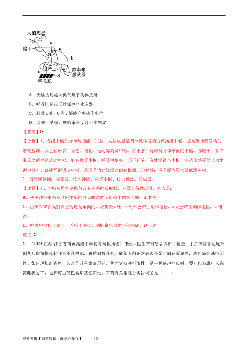 考点通关卷26神经调节（解析版）_新高考复习资料_2024年新高考复习资料_一轮复习资料_完2024年高考生物一轮复习考点通关卷（新高考）_考点通关卷26神经调节