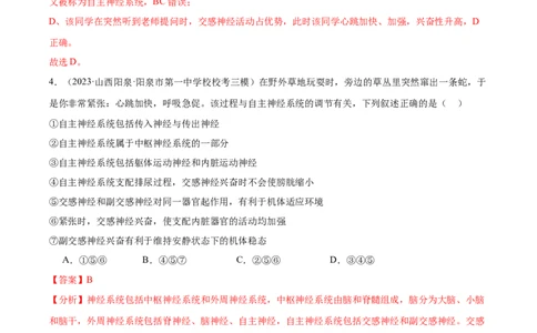 考点通关卷26神经调节（解析版）_新高考复习资料_2024年新高考复习资料_一轮复习资料_完2024年高考生物一轮复习考点通关卷（新高考）_考点通关卷26神经调节