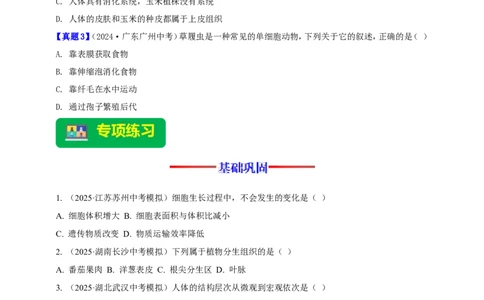 名师导航专题03细胞怎样构成生物体--2026年中考生物一轮复习学案（原卷版）_6生物中考复习_2026年中考复习（更新中）_2026年中考生物一轮复习学案（原版卷+解析版）