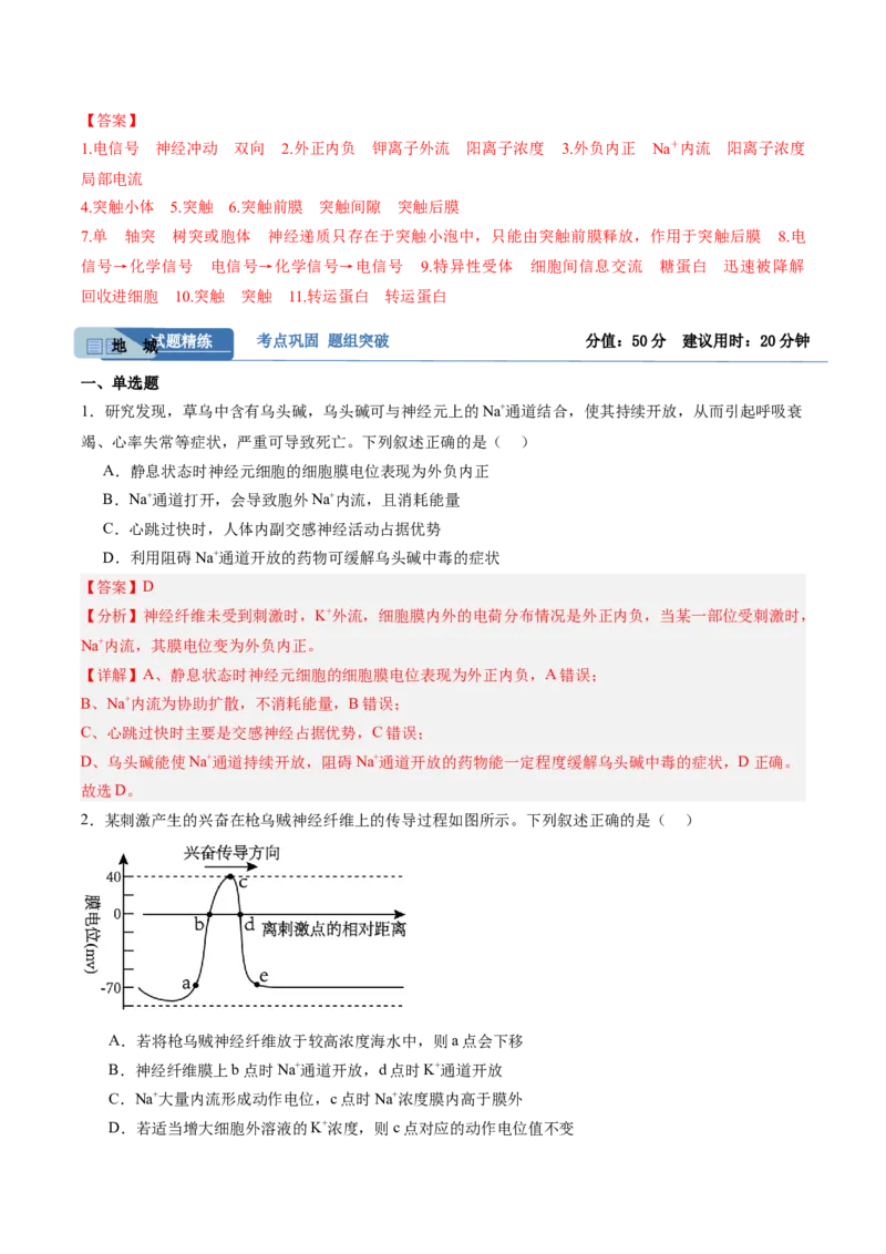 考点通关卷25神经调节（解析版）_2025年新高考资料_一轮复习_2025年高考生物一轮复习考点通关卷（新高考通用）_考点通关卷25神经调节-2025年高考生物一轮复习考点通关卷（新高考通用）