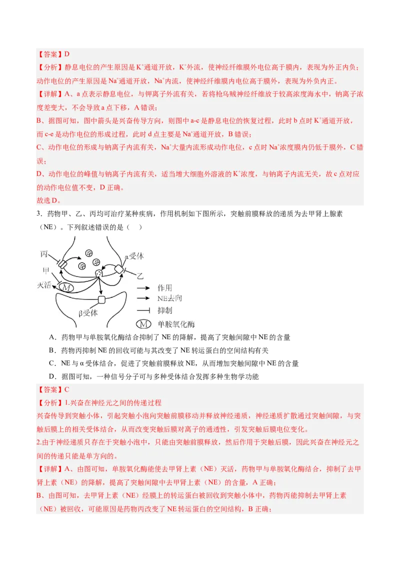 考点通关卷25神经调节（解析版）_2025年新高考资料_一轮复习_2025年高考生物一轮复习考点通关卷（新高考通用）_考点通关卷25神经调节-2025年高考生物一轮复习考点通关卷（新高考通用）