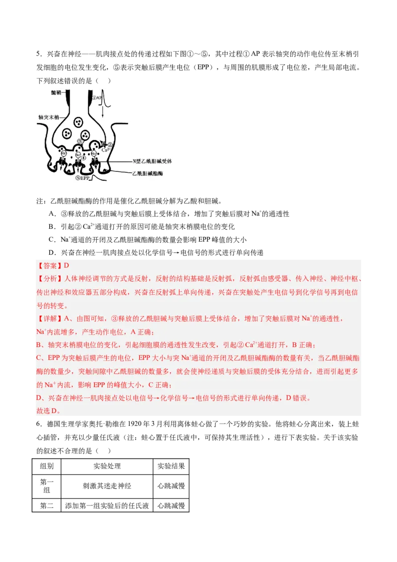 考点通关卷25神经调节（解析版）_2025年新高考资料_一轮复习_2025年高考生物一轮复习考点通关卷（新高考通用）_考点通关卷25神经调节-2025年高考生物一轮复习考点通关卷（新高考通用）